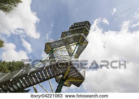 Stock Image - Kaflingsbergturm observation tower, Mueritz National Park, Mecklenburg-Western Pomerania, Germany, Europe. Fotosearch