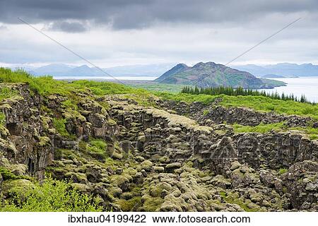Stock Image - Lava field in the national park Pingvellir, also Thingvellir or Thingvellir, Iceland, Europe. Fotosearch