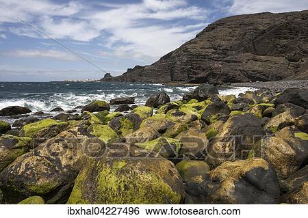 Lava rocks, covered in algae, Playa de Guayedra, Northwest, Gran Canaria, Canary Islands, Spain, Europe View Large Photo Image Stock Photograph - Lava rocks, covered in algae, Playa de Guayedra, Northwest, Gran Canaria, Canary Islands, Spain, Europe. Fotosearch