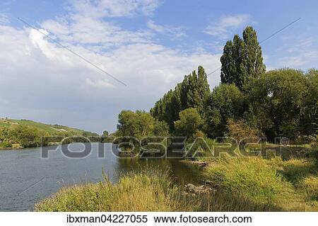 Main, Frickenhausen am Main, Franconia, Lower Franconia, Franconia, Bavaria, Germany, Europe View Large Photo Image Stock Photography - Main, Frickenhausen am Main, Franconia, Lower Franconia, Franconia, Bavaria, Germany, Europe. Fotosearch