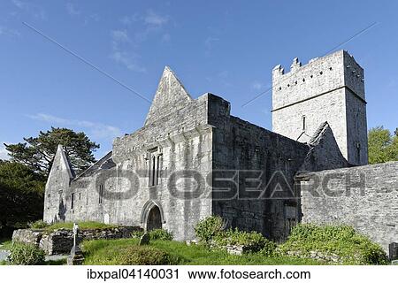 Muckross Abbey, Cloghereen, Killarney, Munster, Ireland, Europe View Large Photo Image Stock Image - Muckross Abbey, Cloghereen, Killarney, Munster, Ireland, Europe. Fotosearch