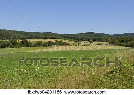 Near Althodis, nature park Geschriebenstein-Irottko in Althodis, Koszeg Mountains, Southern Burgenland, Burgenland, Austria, Europe View Large Photo Image Stock Photograph - Near Althodis, nature park Geschriebenstein-Irottko in Althodis, Koszeg Mountains, Southern Burgenland, Burgenland, Austria, Europe. Fotosearch