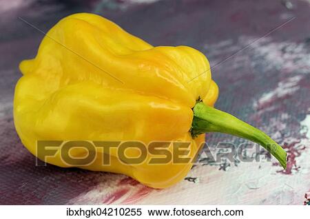 Stock Photography - Pepper, yellow lantern chili (Capsicum chinense). Fotosearch
