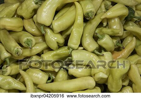 Peppers (Capsicum) at the market, green, Corfu or Kerkyra island, Greece, Europe View Large Photo Image Stock Photograph - Peppers (Capsicum) at the market, green, Corfu or Kerkyra island, Greece, Europe. Fotosearch