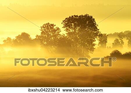 Reuss valley, sunrise in fog, autumn, Aristau, Canton of Aargau, Switzerland, Europe View Large Photo Image Picture - Reuss valley, sunrise in fog, autumn, Aristau, Canton of Aargau, Switzerland, Europe. Fotosearch