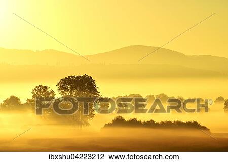 Reuss valley, sunrise in fog, autumn, Aristau, Canton of Aargau, Switzerland, Europe View Large Photo Image Stock Image - Reuss valley, sunrise in fog, autumn, Aristau, Canton of Aargau, Switzerland, Europe. Fotosearch