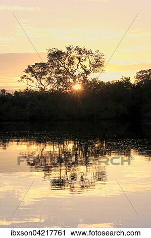 Rio Pixaim Pantanal, River, Landscape, sunset, evening light, Pantanal, Mato Grosso, Brazil, South America View Large Photo Image Stock Image - Rio Pixaim Pantanal, River, Landscape, sunset, evening light, Pantanal, Mato Grosso, Brazil, South America. Fotosearch