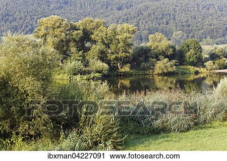 River Main in Grossheubach, Spessart, Lower Franconia, Franconia, Bavaria, Germany, Europe View Large Photo Image Stock Image - River Main in Grossheubach, Spessart, Lower Franconia, Franconia, Bavaria, Germany, Europe. Fotosearch