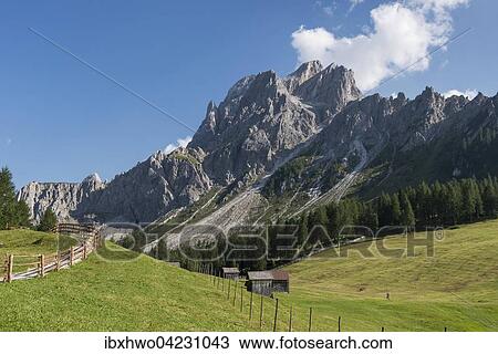 Stock Image - Rotwandwiesen with Croda Rossa di Sesto, Nature Park Tre Cime, UNESCO World Heritage Site, Sexten Dolomites, Alps, Province of South Tyrol, Alto Adige, Italy, Europe. Fotosearch
