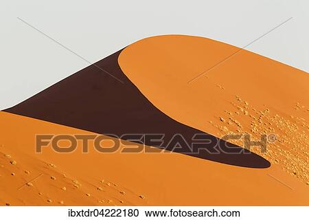 Sand dune in the Namib Desert, in the evening, Namib-Naukluft National Park, Namibia, Africa View Large Photo Image Stock Image - Sand dune in the Namib Desert, in the evening, Namib-Naukluft National Park, Namibia, Africa. Fotosearch