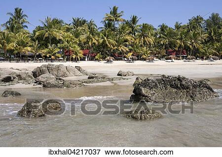 Sea, beach, palm trees, bungalows, Ngapali Beach, Ngapali, Thandwe, Rakhine State, Myanmar, Asia View Large Photo Image Stock Photo - Sea, beach, palm trees, bungalows, Ngapali Beach, Ngapali, Thandwe, Rakhine State, Myanmar, Asia. Fotosearch