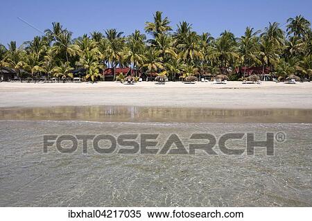 Sea, beach, palm trees, bungalows, Ngapali Beach, Ngapali, Thandwe, Rakhine State, Myanmar, Asia View Large Photo Image Stock Photography - Sea, beach, palm trees, bungalows, Ngapali Beach, Ngapali, Thandwe, Rakhine State, Myanmar, Asia. Fotosearch