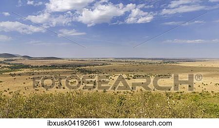 Stock Image - Stretch landscape in the Masai Mara at the Sand River with a view of the northern savannah of the Serengeti, Llamai Wedge, Maasai Mara National Reserve, Narok County, Kenya, Africa. Fotosearch
