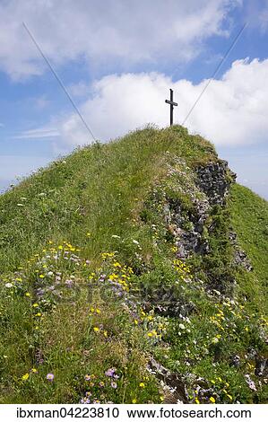 Summit cross and mountain flowers on Hochgern, Unterwossen, Chiemgau Alps, Upper Bavaria, Bavaria, Germany, Europe View Large Photo Image Stock Image - Summit cross and mountain flowers on Hochgern, Unterwossen, Chiemgau Alps, Upper Bavaria, Bavaria, Germany, Europe. Fotosearch