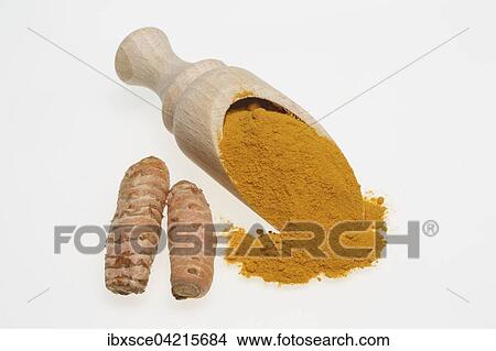 Turmeric root (Curcuma domestica) and ground turmeric powder View Large Photo Image Picture - Turmeric root (Curcuma domestica) and ground turmeric powder. Fotosearch