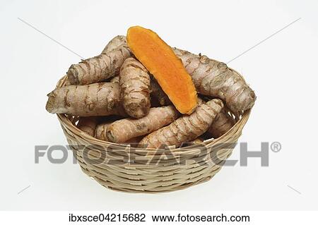 Turmeric root (Curcuma domestica) View Large Photo Image Stock Image - Turmeric root (Curcuma domestica). Fotosearch