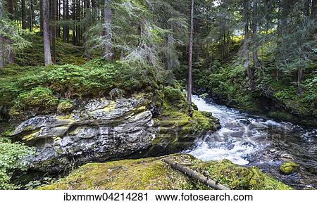 Stock Image - Untertalbach, Rohrmoos-Untertal, Styria, Austria, Europe. Fotosearch