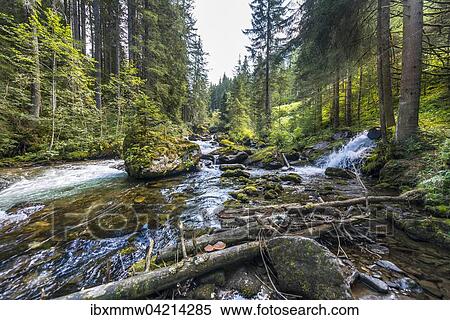 Stock Photography - Untertalbach, Rohrmoos-Untertal, Styria, Austria, Europe. Fotosearch