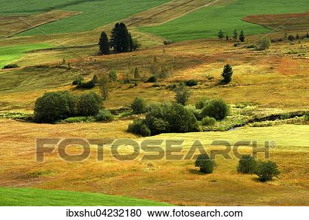 Stock Image - Upland moor Rothenthurm, Canton of Schwyz, Switzerland, Europe. Fotosearch