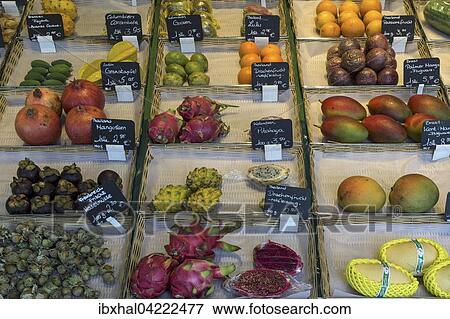 Various exotic fruits at a fruit stand, Viktualienmarkt, Munich, Bavaria, Germany, Europe View Large Photo Image Stock Photo - Various exotic fruits at a fruit stand, Viktualienmarkt, Munich, Bavaria, Germany, Europe. Fotosearch