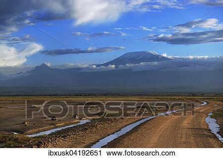 Vast landscape with a road, Mount Kilimanjaro in the morning light behind, Amboseli, Kenya, Africa View Large Photo Image Stock Image - Vast landscape with a road, Mount Kilimanjaro in the morning light behind, Amboseli, Kenya, Africa. Fotosearch