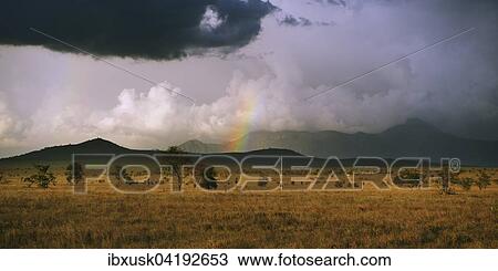 Vast landscape with Lions Bluff Hill in stormy weather, Lumo Conservancy, Tsavo, Kenya, Africa View Large Photo Image Stock Image - Vast landscape with Lions Bluff Hill in stormy weather, Lumo Conservancy, Tsavo, Kenya, Africa. Fotosearch