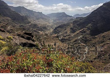 View of a serpentine road and a valley near Las Casas de Venegueras, Gran Canaria, Canary Islands, Spain, Europe View Large Photo Image Stock Image - View of a serpentine road and a valley near Las Casas de Venegueras, Gran Canaria, Canary Islands, Spain, Europe. Fotosearch