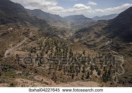 View of a serpentine road and a valley near Las Casas de Venegueras, Gran Canaria, Canary Islands, Spain, Europe View Large Photo Image Stock Photography - View of a serpentine road and a valley near Las Casas de Venegueras, Gran Canaria, Canary Islands, Spain, Europe. Fotosearch