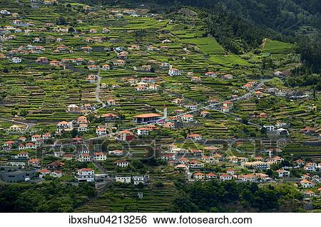 View of the village, Corrida das Feiteiras, Madeira, Portugal, Europe View Large Photo Image Stock Photograph - View of the village, Corrida das Feiteiras, Madeira, Portugal, Europe. Fotosearch