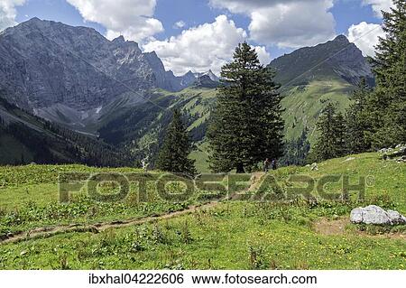 View to Binsalm, Laliderer Walls mountains, Karwendel, Tyrol, Austria, Europe View Large Photo Image Stock Photograph - View to Binsalm, Laliderer Walls mountains, Karwendel, Tyrol, Austria, Europe. Fotosearch