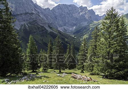 View to Binsalm, Laliderer Walls mountains, Karwendel, Tyrol, Austria, Europe View Large Photo Image Stock Photography - View to Binsalm, Laliderer Walls mountains, Karwendel, Tyrol, Austria, Europe. Fotosearch
