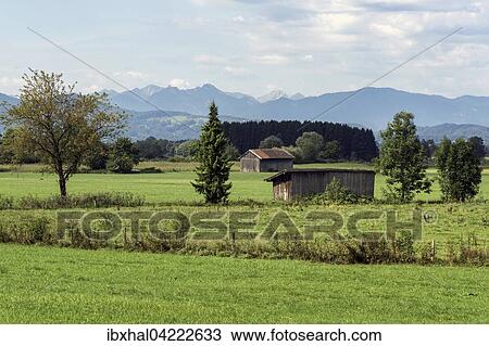 View to the Benediktbeurer moor, Benediktbeuern, Upper Bavaria, Bavaria, Germany, Europe View Large Photo Image Stock Image - View to the Benediktbeurer moor, Benediktbeuern, Upper Bavaria, Bavaria, Germany, Europe. Fotosearch