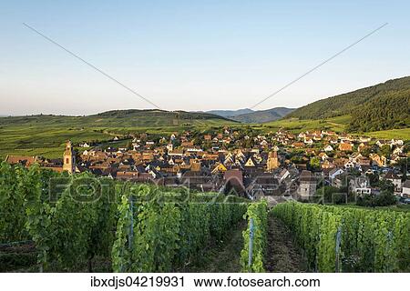 Village and vineyards at sunrise, Riquewihr, Alsace, France, Europe View Large Photo Image Stock Image - Village and vineyards at sunrise, Riquewihr, Alsace, France, Europe. Fotosearch