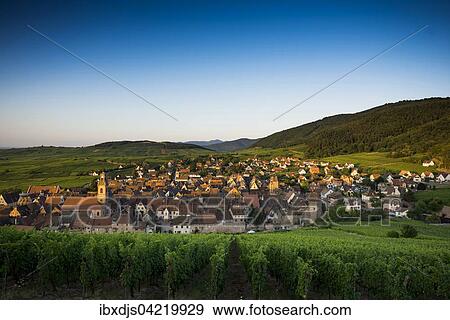 Village and vineyards at sunrise, Riquewihr, Alsace, France, Europe View Large Photo Image Stock Photo - Village and vineyards at sunrise, Riquewihr, Alsace, France, Europe. Fotosearch