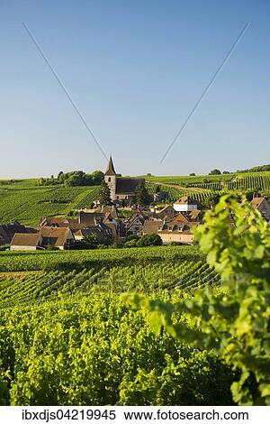 Village in the vineyards, Hunawihr, Alsace, France, Europe View Large Photo Image Stock Photography - Village in the vineyards, Hunawihr, Alsace, France, Europe. Fotosearch