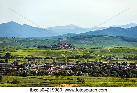 Village in the vineyards, Ribeauville and the Grand Ballon behind, Alsace, France, Europe View Large Photo Image Stock Image - Village in the vineyards, Ribeauville and the Grand Ballon behind, Alsace, France, Europe. Fotosearch
