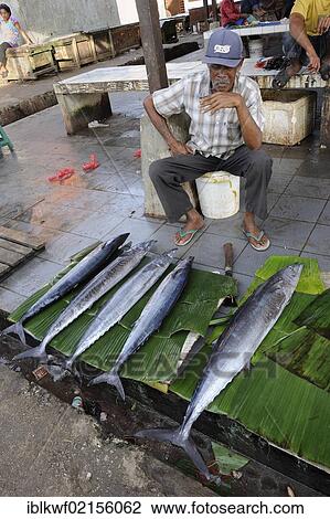 Stock Image - A Papuan fish vendor at the fish market in Kota Biak, Biak Island, Irian Jaya, Indonesia, Southeast Asia, Asia. Fotosearch