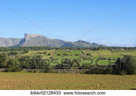 Almond trees in front of the Serra de Llevante mountains at Arta, Majorca, Balearic Islands, Spain, Europe View Large Photo Image Stock Image - Almond trees in front of the Serra de Llevante mountains at Arta, Majorca, Balearic Islands, Spain, Europe. Fotosearch