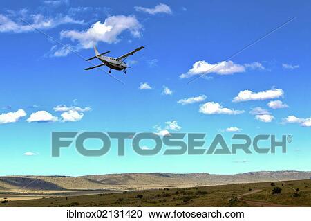 An aircraft approaching Keekorok Airstrip, Masai Mara National Reserve, Kenya, East Africa, Africa, PublicGround, Africa View Large Photo Image Stock Image - An aircraft approaching Keekorok Airstrip, Masai Mara National Reserve, Kenya, East Africa, Africa, PublicGround, Africa. Fotosearch
