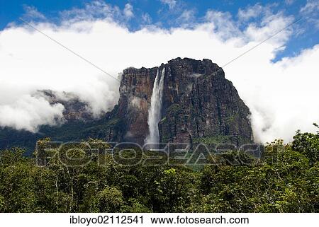 Stock Image - Angel Falls or Salto Angel, the highest waterfall in the world, Canaima National Park, Venezuela, South America. Fotosearch