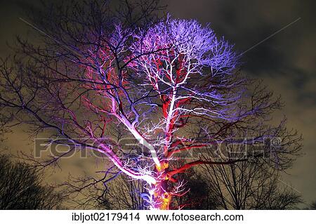 Artistic light installation in Gruga Park, park lighting, art action, Essen, North Rhine-Westphalia, Germany, Europe View Large Photo Image Picture - Artistic light installation in Gruga Park, park lighting, art action, Essen, North Rhine-Westphalia, Germany, Europe. Fotosearch