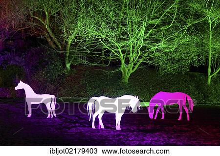Stock Image - Artistic light installation in Gruga Park, park lighting, art action, Essen, North Rhine-Westphalia, Germany, Europe. Fotosearch