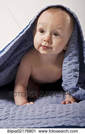 Baby boy, 8 months, under a blanket View Large Photo Image Stock Image - Baby boy, 8 months, under a blanket. Fotosearch