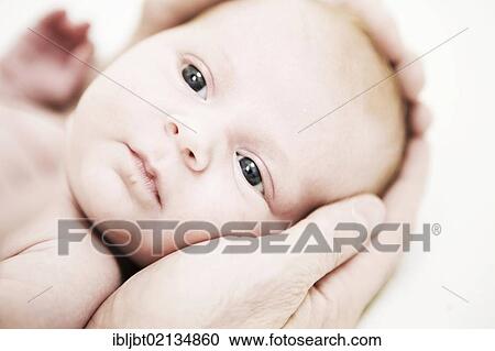 Baby, portrait, head embraced in hands View Large Photo Image Stock Image - Baby, portrait, head embraced in hands. Fotosearch