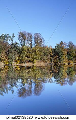 Baerensee, Bear Lake in autumn, near Stuttgart, Baden-Wuerttemberg, Germany, Europe View Large Photo Image Stock Image - Baerensee, Bear Lake in autumn, near Stuttgart, Baden-Wuerttemberg, Germany, Europe. Fotosearch