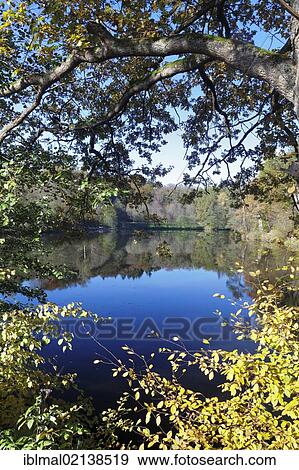Baerensee, Bear Lake in autumn, near Stuttgart, Baden-Wuerttemberg, Germany, Europe View Large Photo Image Stock Photo - Baerensee, Bear Lake in autumn, near Stuttgart, Baden-Wuerttemberg, Germany, Europe. Fotosearch
