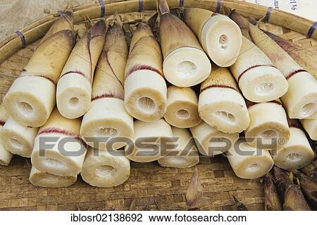 Stock Image - Bamboo shoots on the morning market, Luang Prabang, Laos, Indochina, Asia. Fotosearch