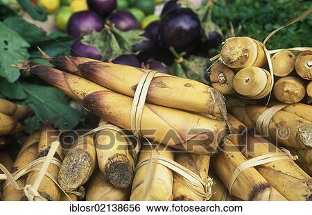 Stock Photograph - Bamboo shoots, Talat Tha Heua Market, Luang Prabang, Laos, Indochina, Asia. Fotosearch