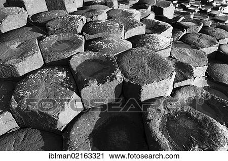 Basalt columns, Giant's Causeway, Causeway Coast, County Antrim, Northern Ireland, Great Britain, Europe View Large Photo Image Stock Image - Basalt columns, Giant's Causeway, Causeway Coast, County Antrim, Northern Ireland, Great Britain, Europe. Fotosearch