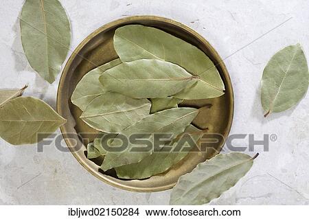 Bay leaves View Large Photo Image Picture - Bay leaves. Fotosearch